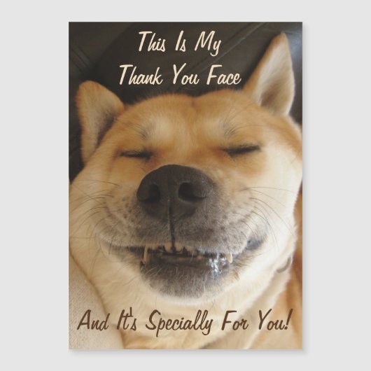 grappige Japanse akita met een leuke glimlach beda (Voorkant)