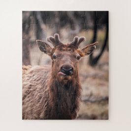 Grappige jonge stier eland wild dier legpuzzel
