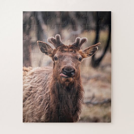 Grappige jonge stier eland wild dier legpuzzel (Verticaal)