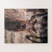 Grappige jonge stier eland wild dier legpuzzel (Horizontaal)