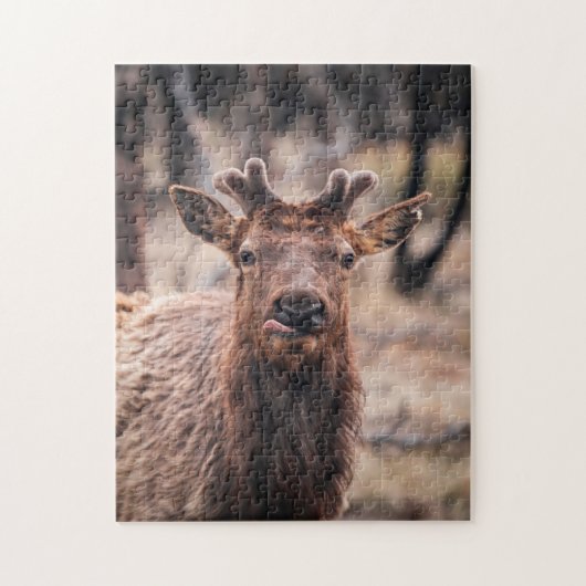 Grappige jonge stier eland wild dier legpuzzel (Verticaal)