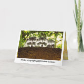 Grappige Kaart 2 van de Verjaardag van de Wasbeer (Achterkant)