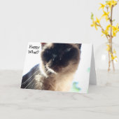 Grappige Kaart met kat: wat? (Gele Bloem)