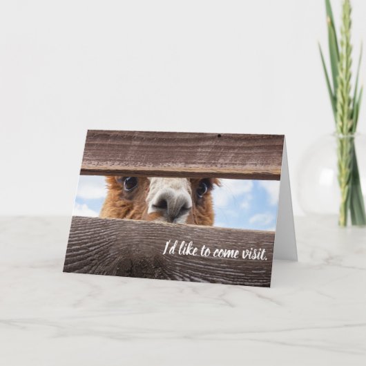 Grappige kaart om ze een bezoek te brengen. (Voorkant)