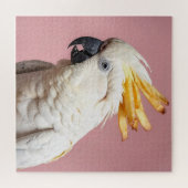 Grappige kaketoe met frites crest legpuzzel (Horizontaal)