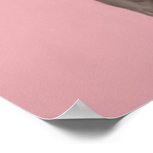 Grappige kaketoe met frites crest poster (Hoek)