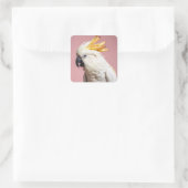 Grappige kaketoe met frites crest vierkante sticker (Tas)