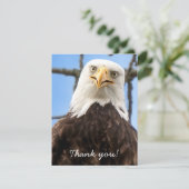 Grappige kale arend gezicht wilde dieren dank u bedankkaart (Staand voorkant)