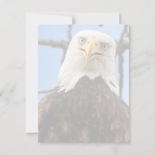 Grappige kale arend gezicht wilde dieren dank u bedankkaart (Achterkant)