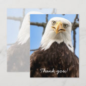 Grappige kale arend gezicht wilde dieren dank u bedankkaart (Voorkant / Achterkant)