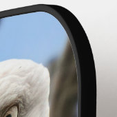 Grappige kale arend gezicht wildlife fotografie pickleball paddle (Links Detail)