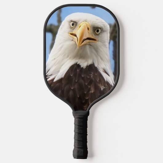 Grappige kale arend gezicht wildlife fotografie pickleball paddle (Achterkant)
