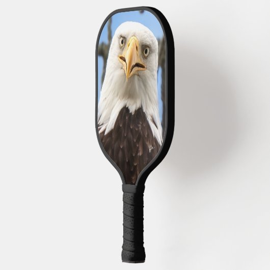 Grappige kale arend gezicht wildlife fotografie pickleball paddle (Links)