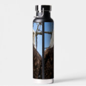 Grappige kale arend gezicht wildlife fotografie waterfles (Rechts)