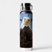 Grappige kale arend gezicht wildlife fotografie waterfles (Achterkant)