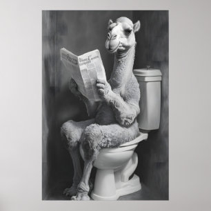 Grappige Kamebadkamerprint, Krantentoilet Poster