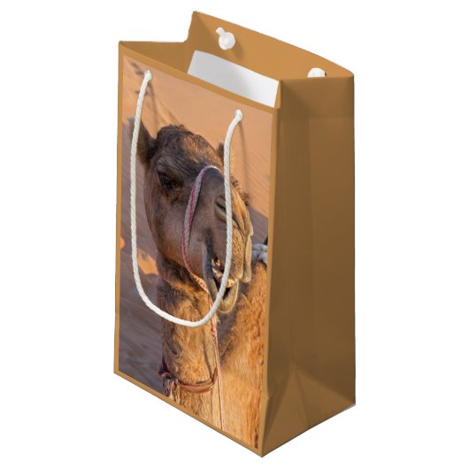 Grappige Kameel Klein Cadeauzakje (Voorkant Gekanteld)
