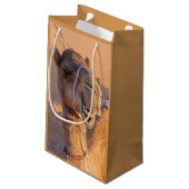 Grappige Kameel Klein Cadeauzakje (Achterkant Gekanteld)