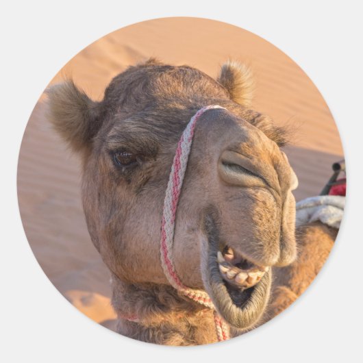 Grappige Kameel Ronde Sticker (Voorkant)