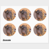 Grappige Kameel Ronde Sticker (Vel)