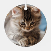 Grappige kat 2 foto Kerstmis Metalen Ornament (Achterkant)