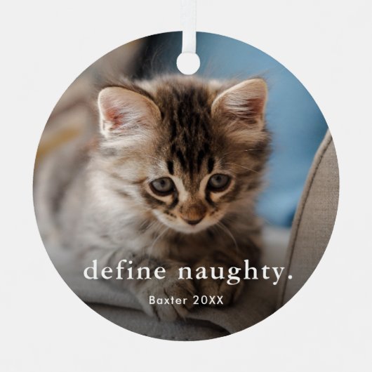 Grappige kat 2 foto Kerstmis Metalen Ornament (Voorkant)