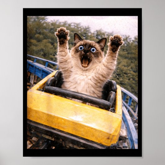 Grappige kat-achtbaan grappige meme-afbeelding poster (Voorkant)