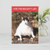 Grappige kat at de stoute kerstlijst van de kerstm feestdagenkaart (Staand voorkant)