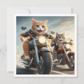 Grappige kat bikers, katten op motorfietsen verjaa kaart (Voorkant)