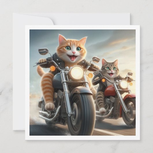 Grappige kat bikers, katten op motorfietsen verjaa kaart (Voorkant)