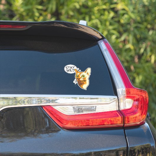 Grappige Kat Blijf Wild Dier Huisdier Kitty Sticker (Auto Zijkant)