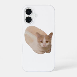Grappige Kat Brood Meme Kat Brood Phonehoesje iPhone 16 Hoesje