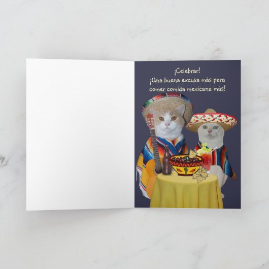 Grappige Kat Cinco de Mayo Kaart (Binnen)