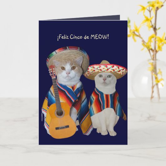  Grappige Kat Cinco de Mayo Kaart (Gele Bloem)