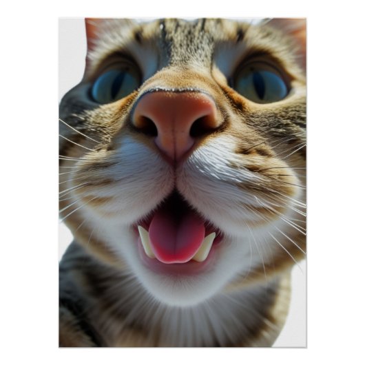 Grappige kat close-up | Goofy Schattigee Cat Art Perfect Poster (Voorkant)