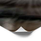 Grappige kat close-up | Goofy Schattigee Cat Art Perfect Poster (Hoek)