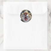 Grappige kat close-up | Goofy Schattigee Cat Art Ronde Sticker (Tas)