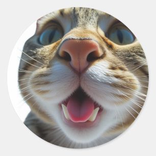 Grappige kat close-up   Goofy Schattigee Cat Art Ronde Sticker