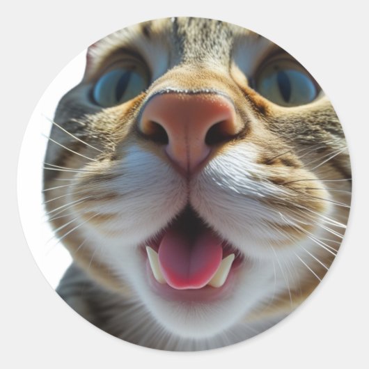 Grappige kat close-up | Goofy Schattigee Cat Art Ronde Sticker (Voorkant)