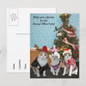 Grappige kat collega's / Kantoor partij Uitnodiging Briefkaart (Voorkant / Achterkant)