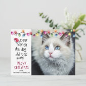 Grappige Kat DEAR SANTA Kerstverlichting Foto Feestdagenkaart (Staand voorkant)