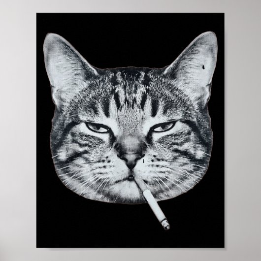 Grappige kat die sigaret rookt tabby kat meme brai poster (Voorkant)