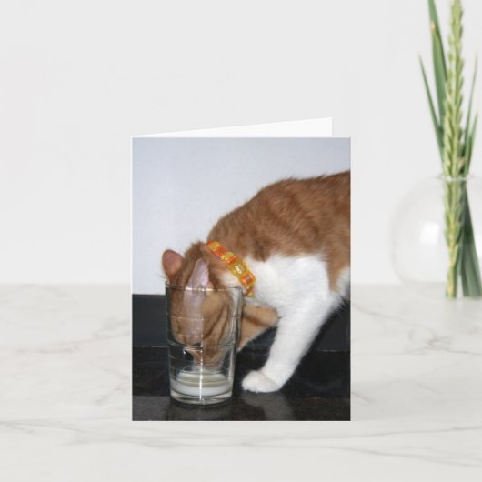 Grappige Kat die van Kaart van de Nota van het (Voorkant)