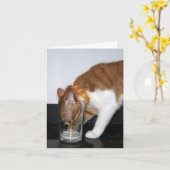 Grappige Kat die van Kaart van de Nota van het (Gele Bloem)