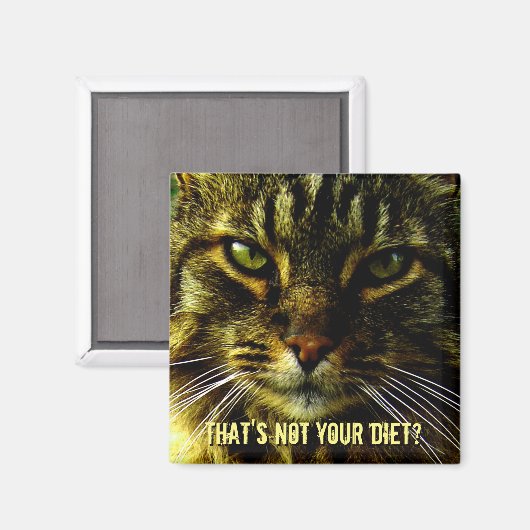 Grappige Kat Dieet Guard Magneet (Voorkant / Achterkant)