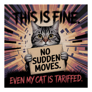 Grappige Kat Dit Is Prima Cadeau Perfect Poster