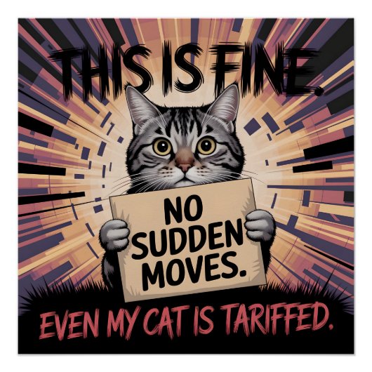 Grappige Kat Dit Is Prima Cadeau Perfect Poster (Voorkant)