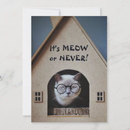 Grappige kat draagt een bril Het is Miauw of Nooit