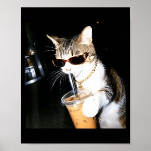 Grappige Kat Drinkt IJskoude Koffie Humor Meme Kit Poster