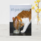 Grappige kat drinkt uit glas - Gefeliciteerd Kaart (Gele Bloem)